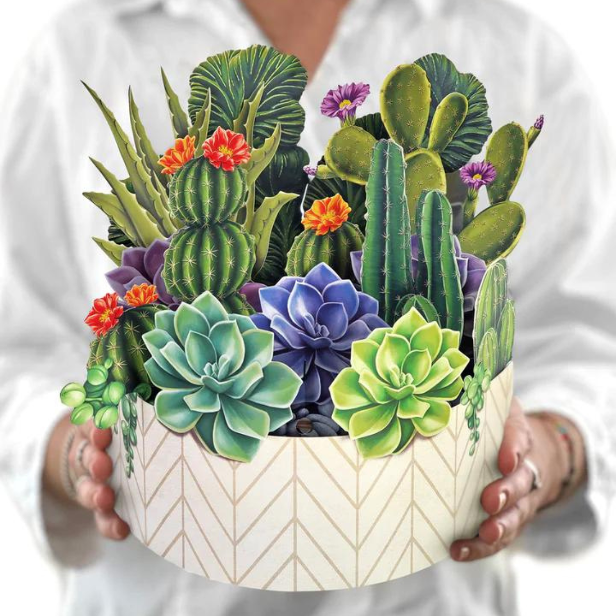Cactus Garden Pop-up Card