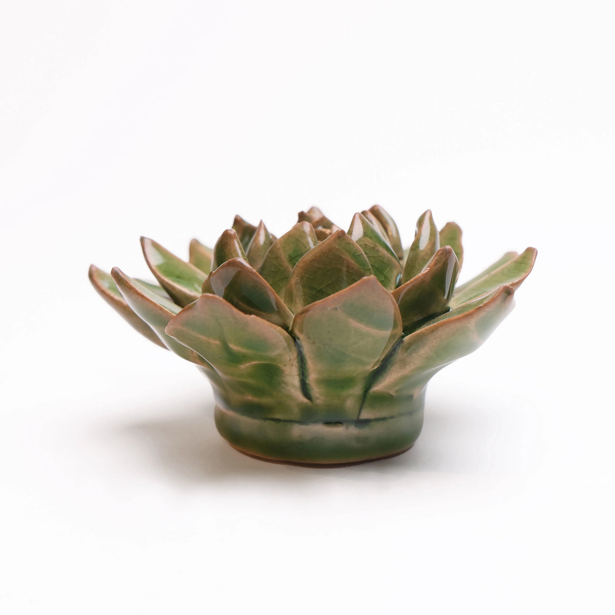Ceramic Green Small Succulent