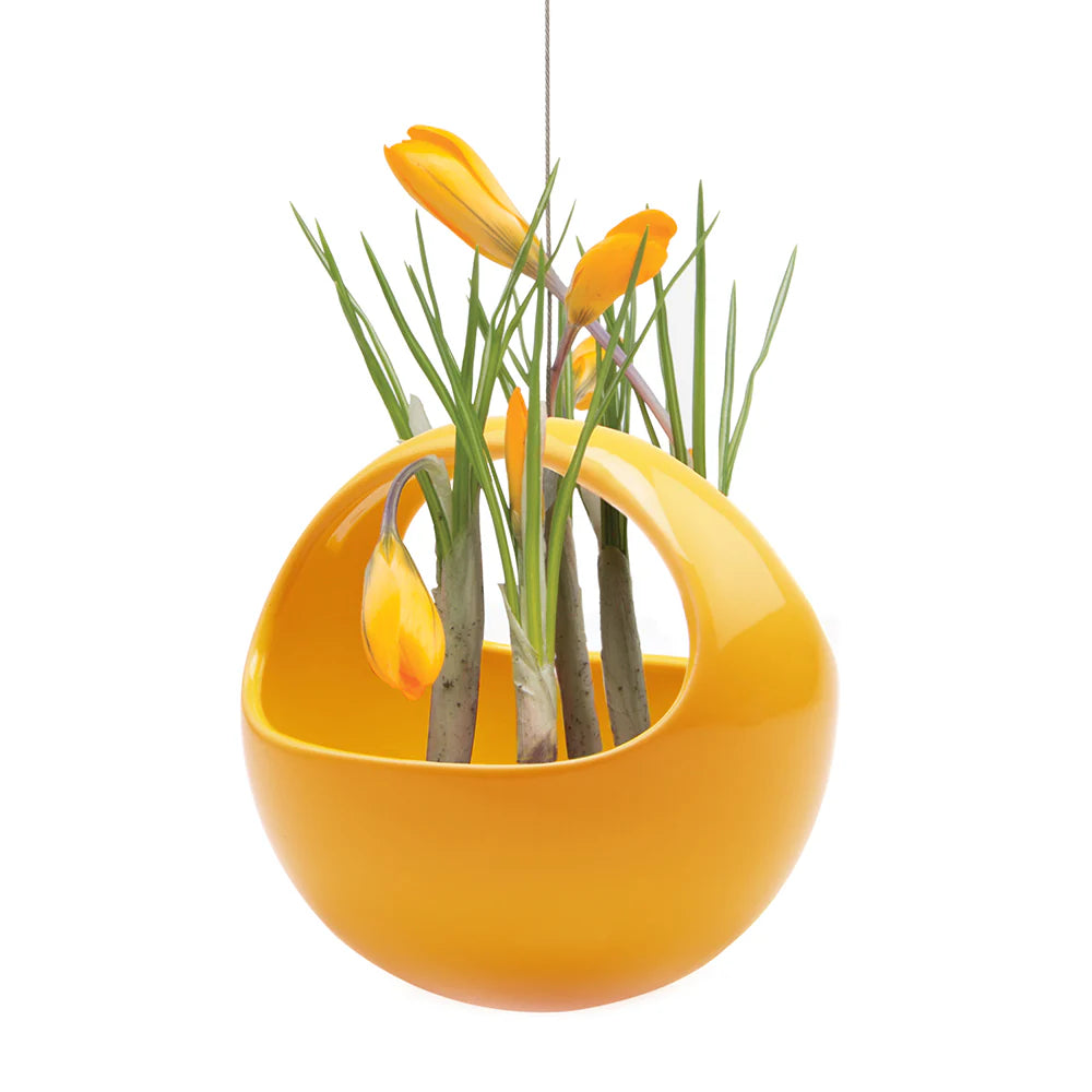 Hanging Aerium Nest Saffron