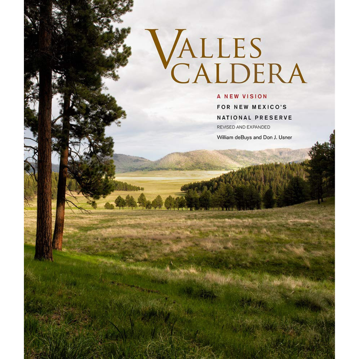 Valles Caldera: A Vision for New Mexico&#39;s National Preserve