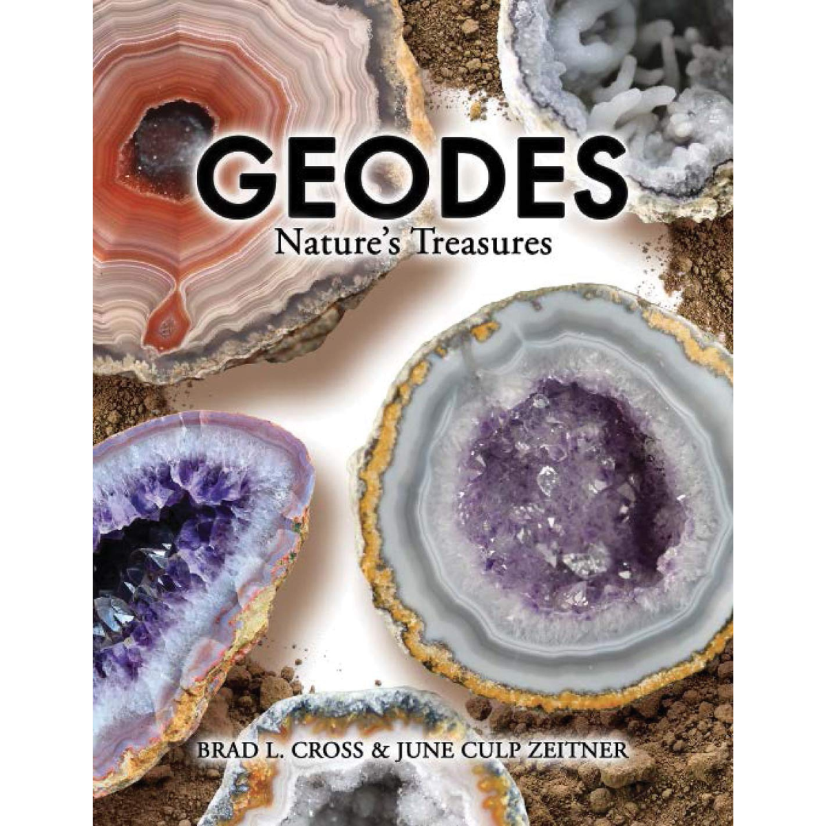 Geodes: Nature&#39;s Treasures