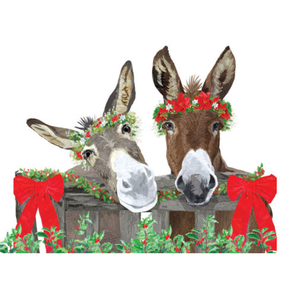 Burro Holiday Boxed Cards