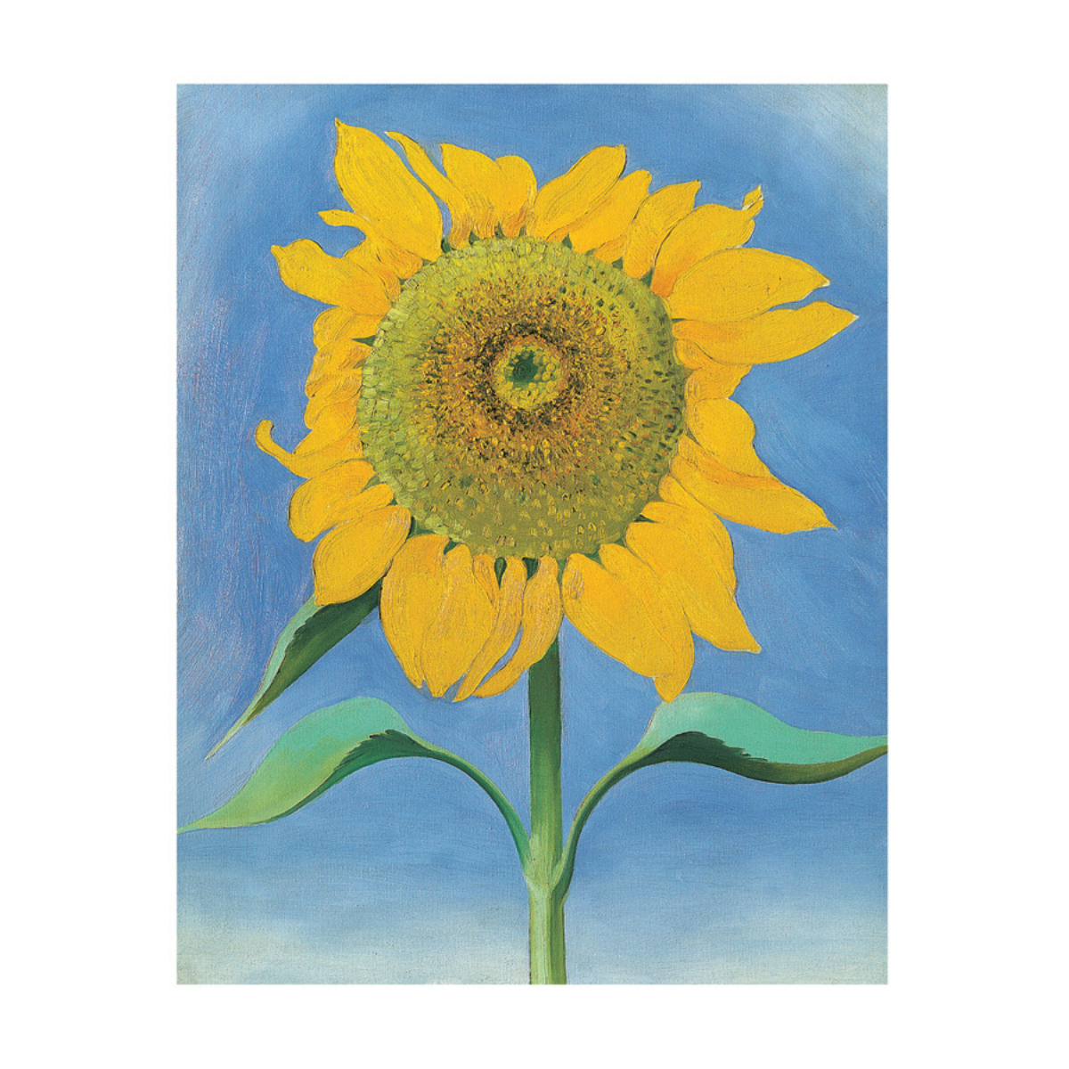 Georgia O&#39;Keeffe Sunflowers Notecard Folio