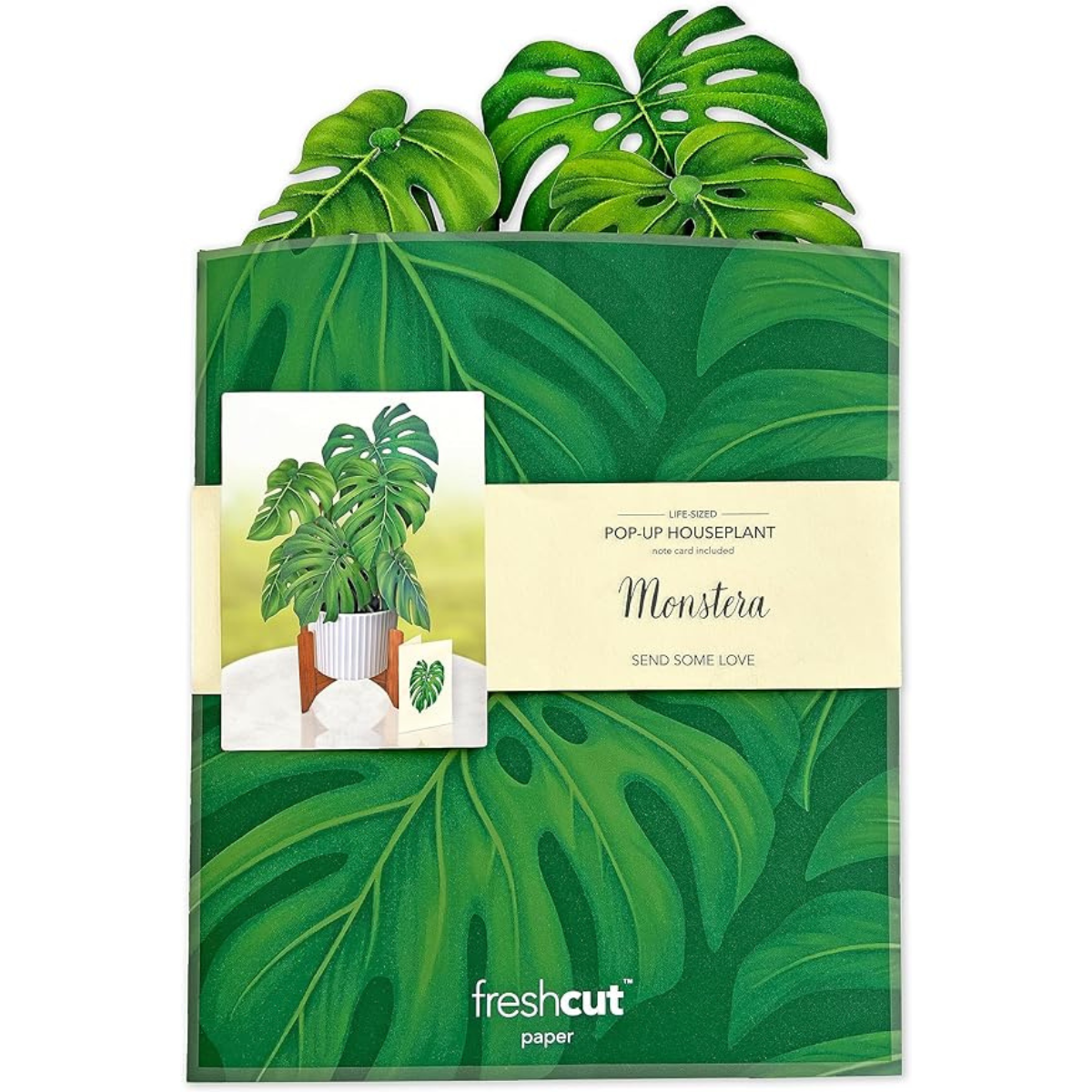 Monstera Plant Pop-up Card