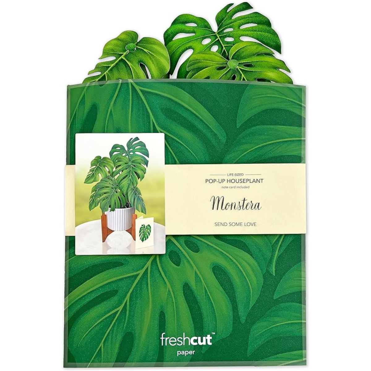 paper monstera plant Monstera Plant Pop-up Card