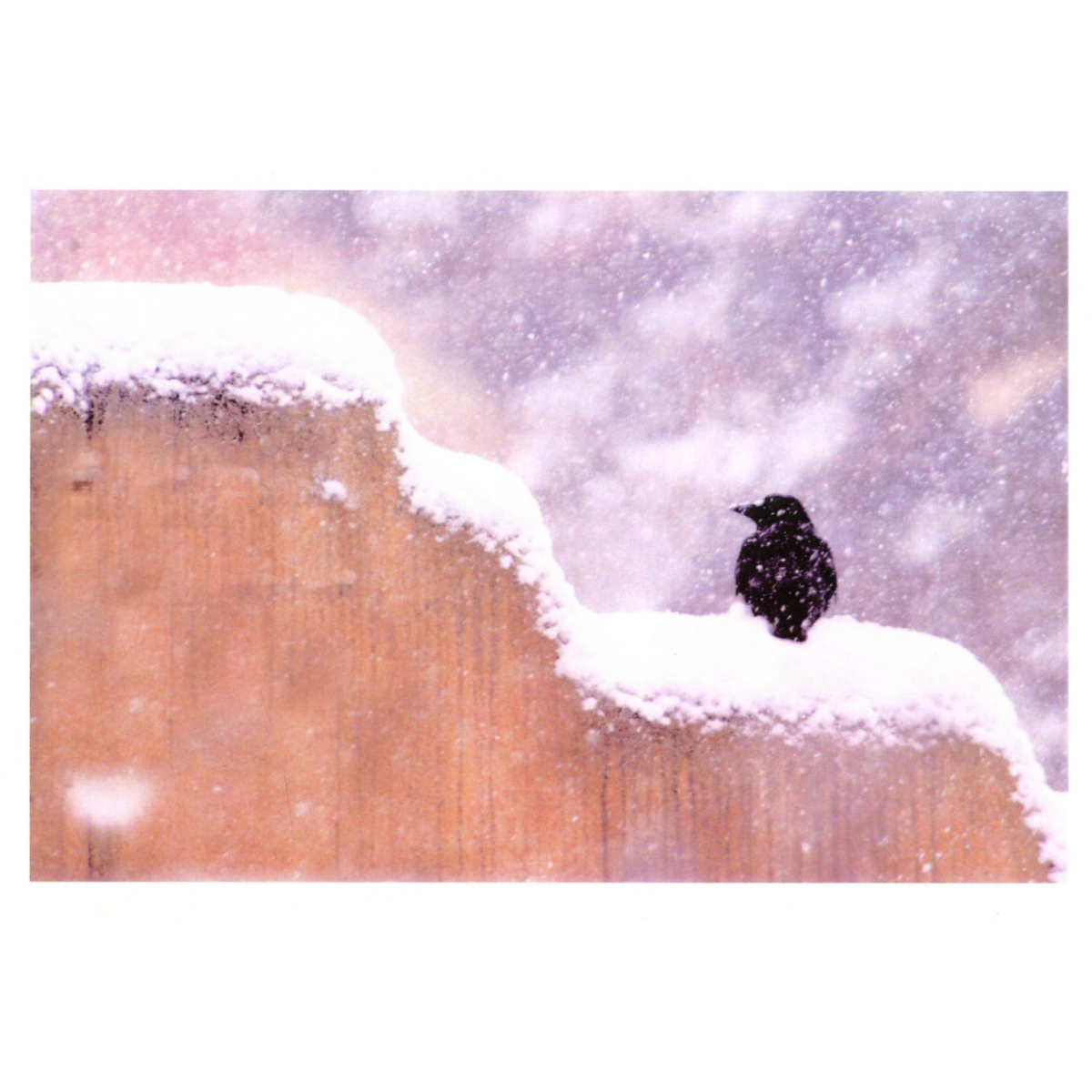 Raven: Adobe Wall Winter - Holiday Boxed Card Set