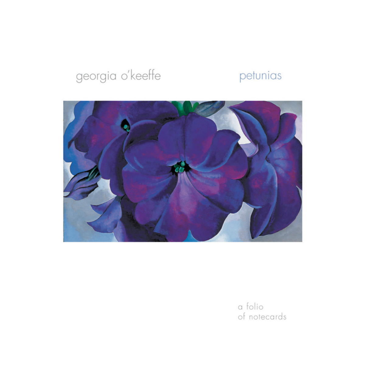 Georgia O&#39;Keeffe Petunias Notecard Folio