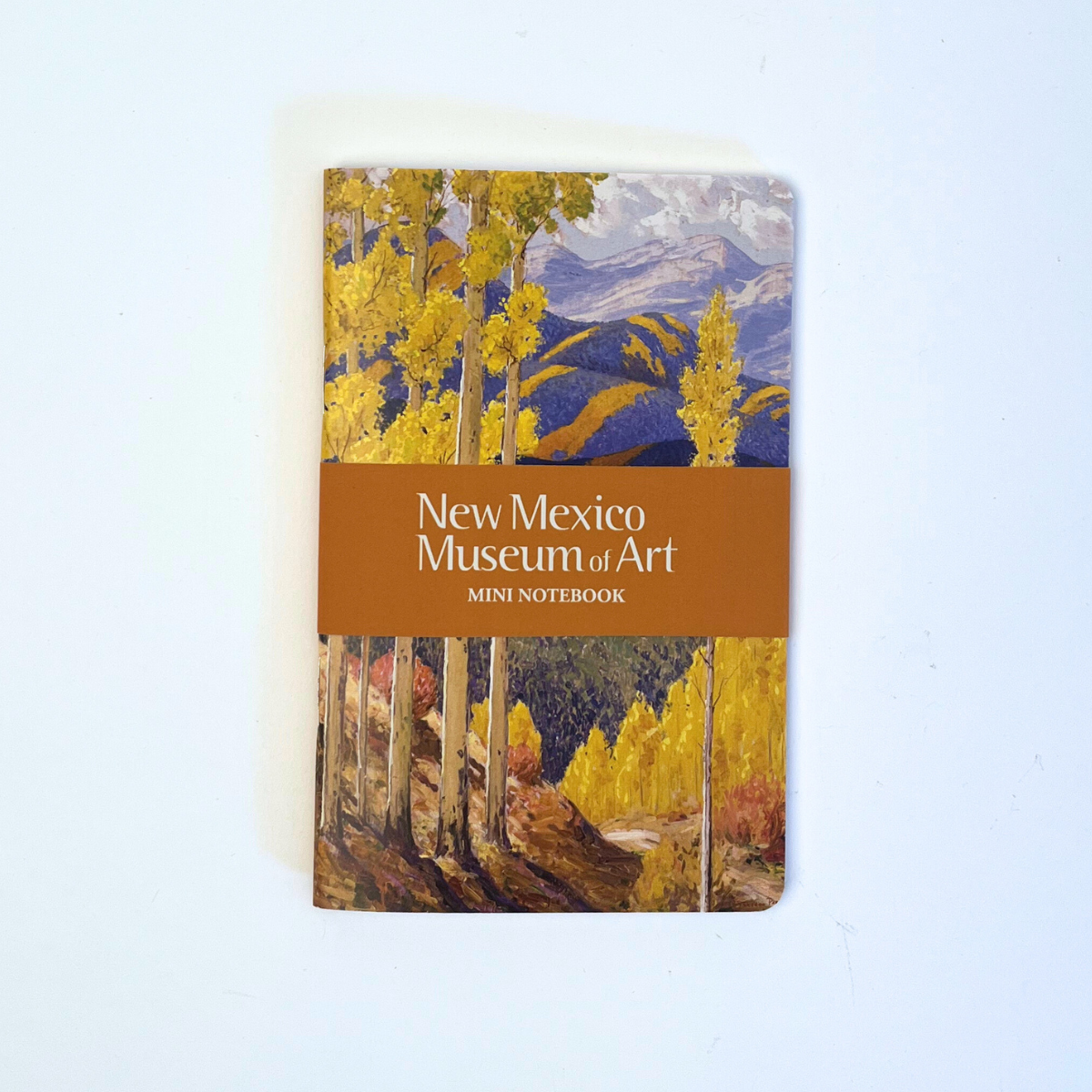 Set of Five New Mexico Museum of Art Mini Notebooks Museum of New