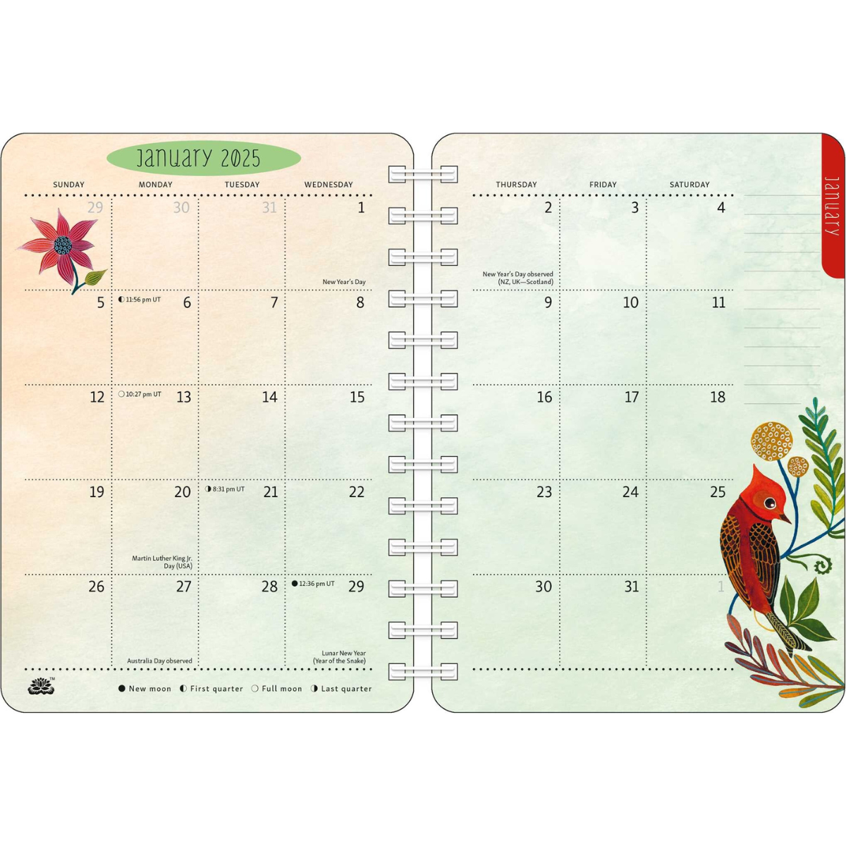 2025 Birds of a Feather Weekly Planner