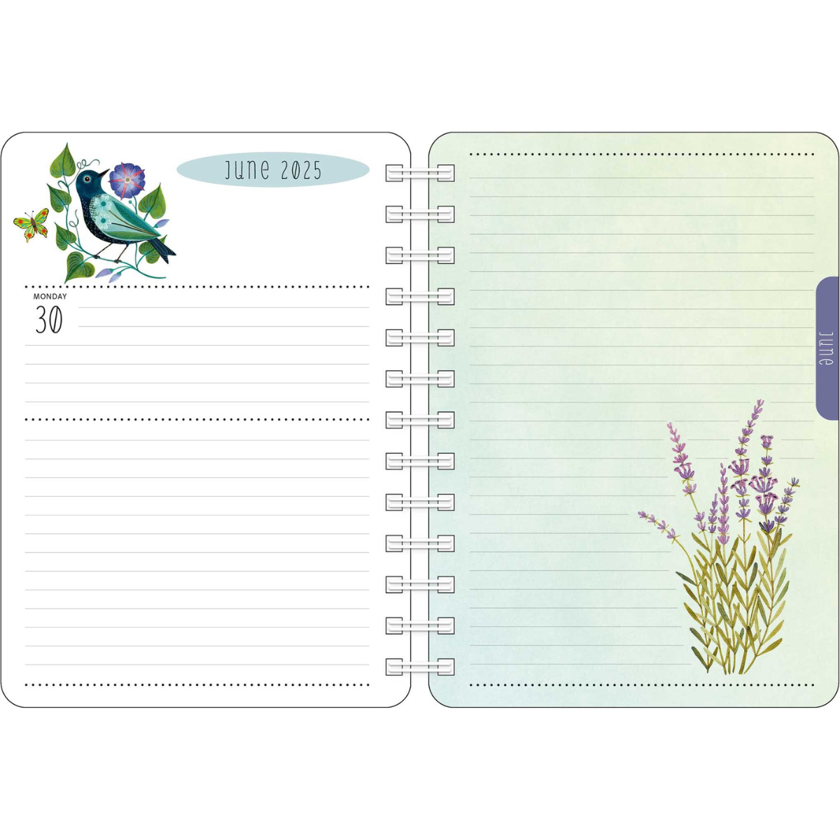 2025 Birds of a Feather Weekly Planner