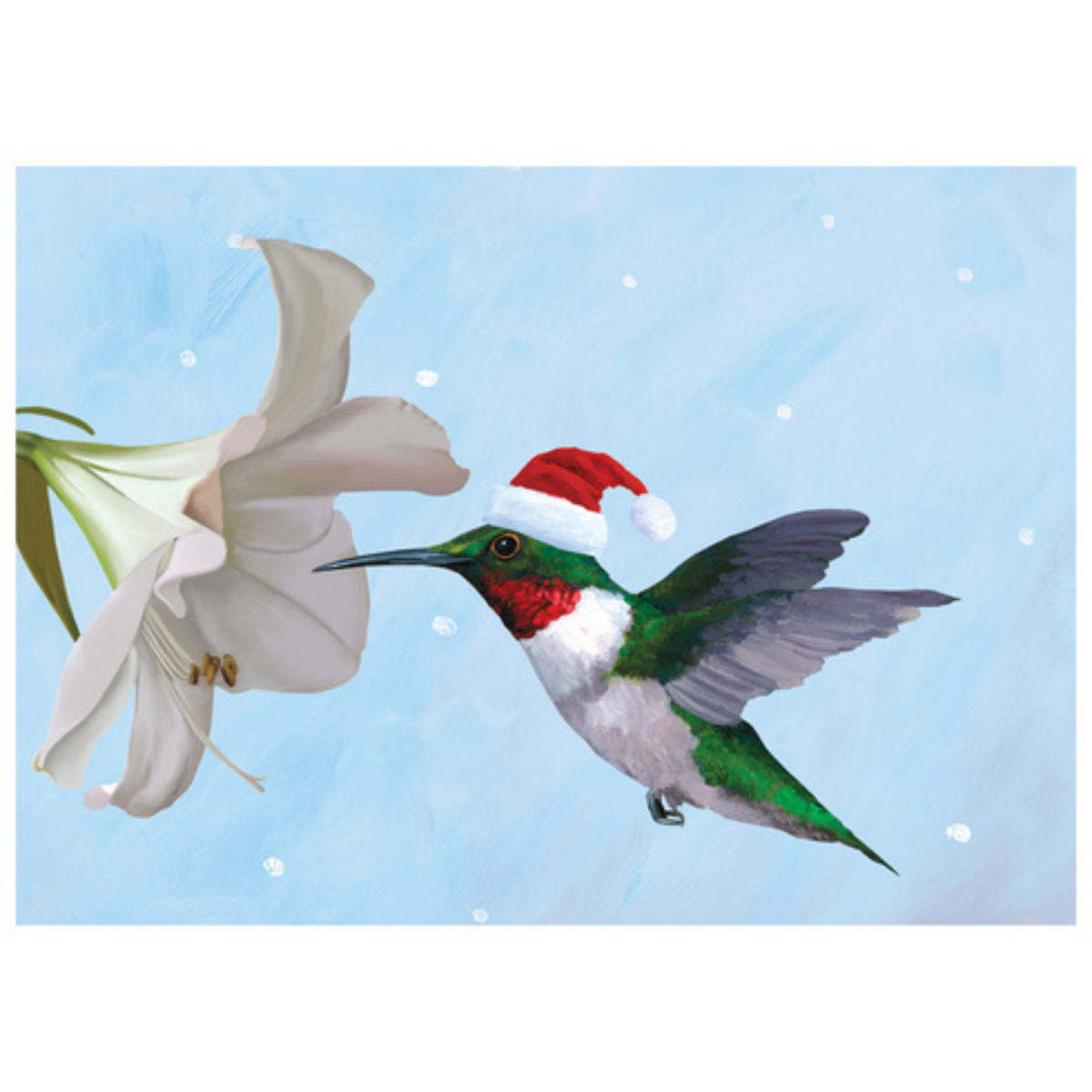 Holiday Hummingbird Boxes Cards