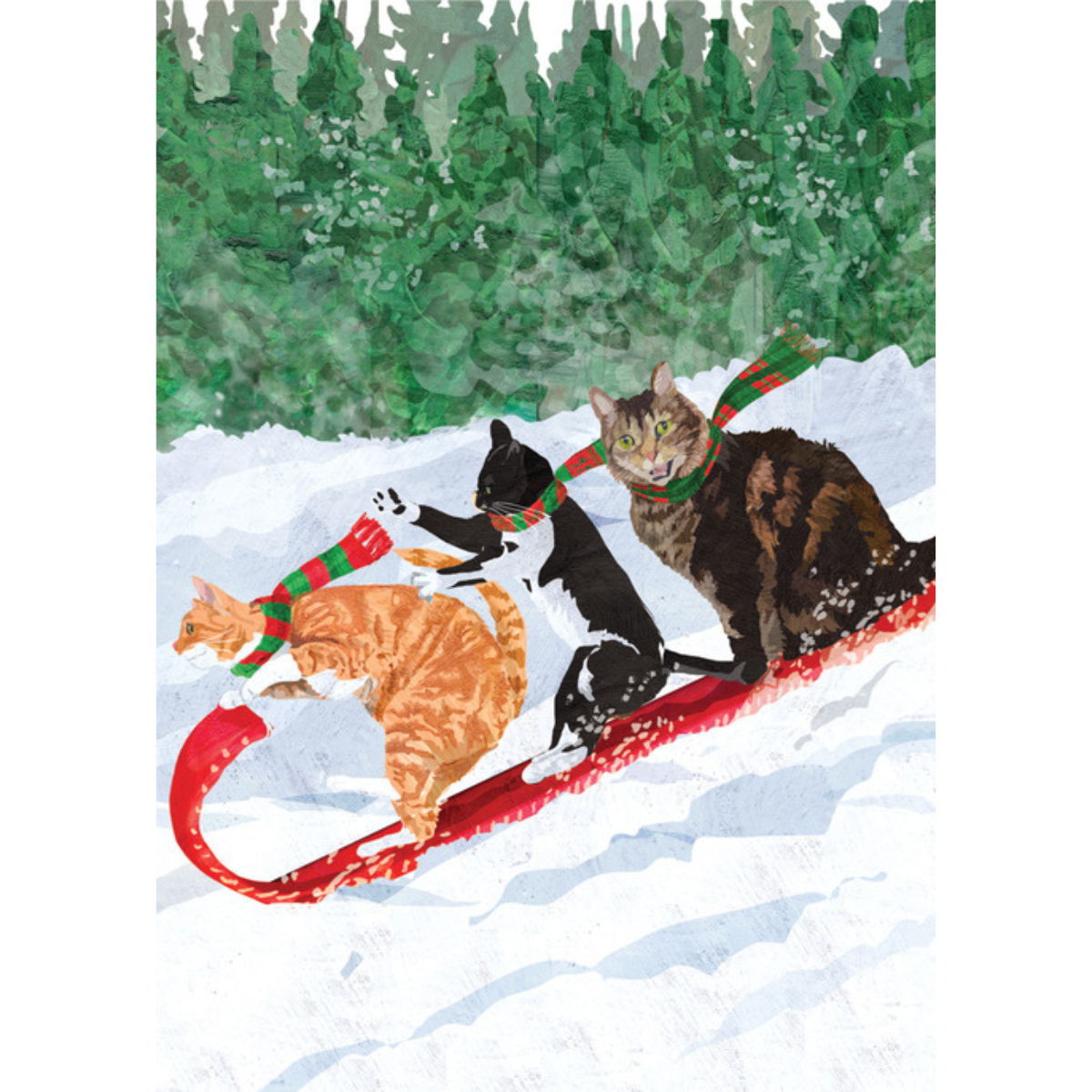 Cat Toboggan Boxed Cards