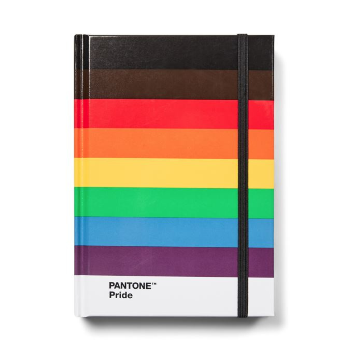 Pantone Pride Notebook