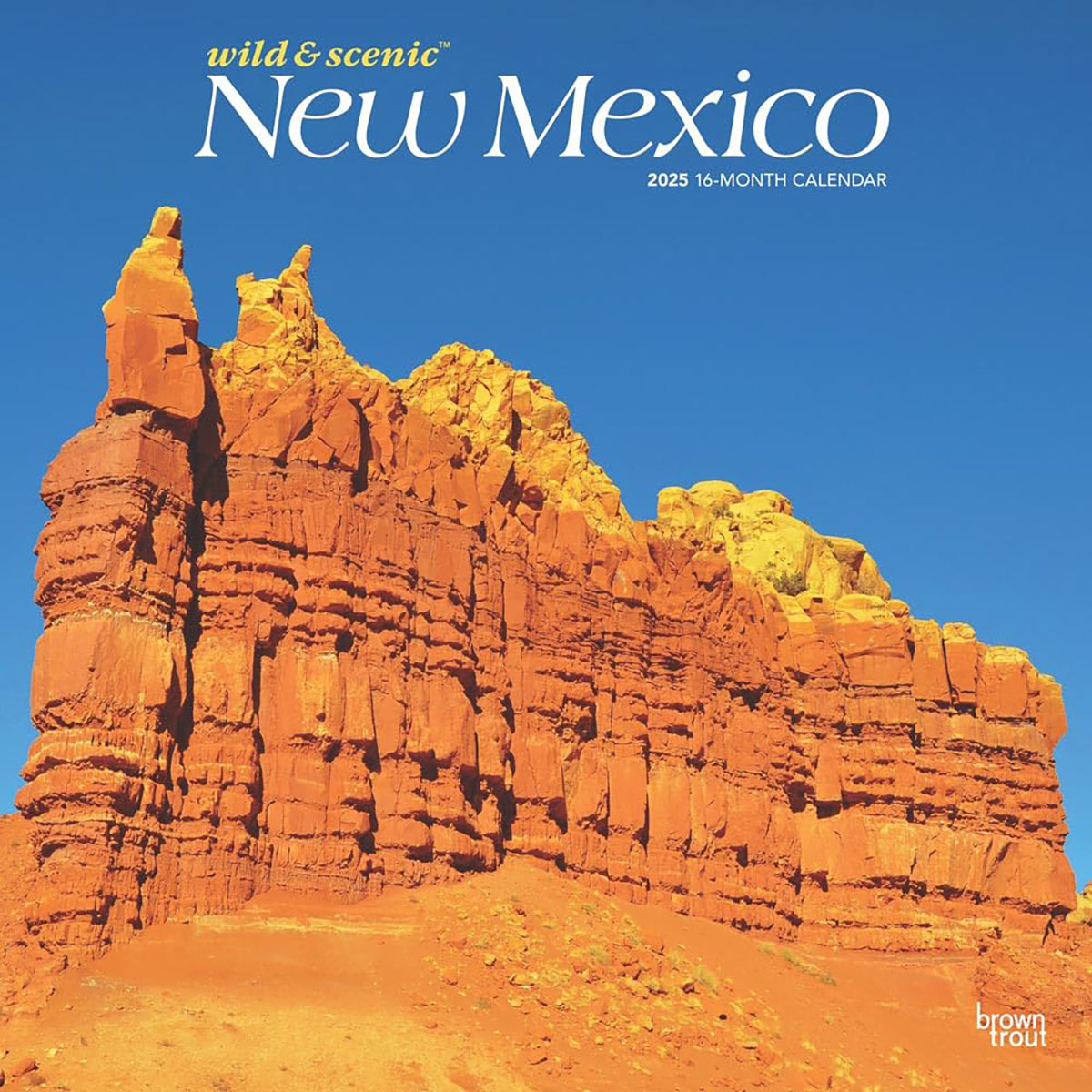 2025 Wild &amp; Scenic New Mexico Calendar