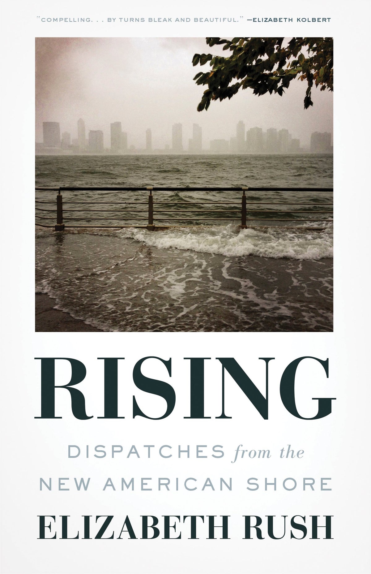 Rising: Dispatches from the New American Shore