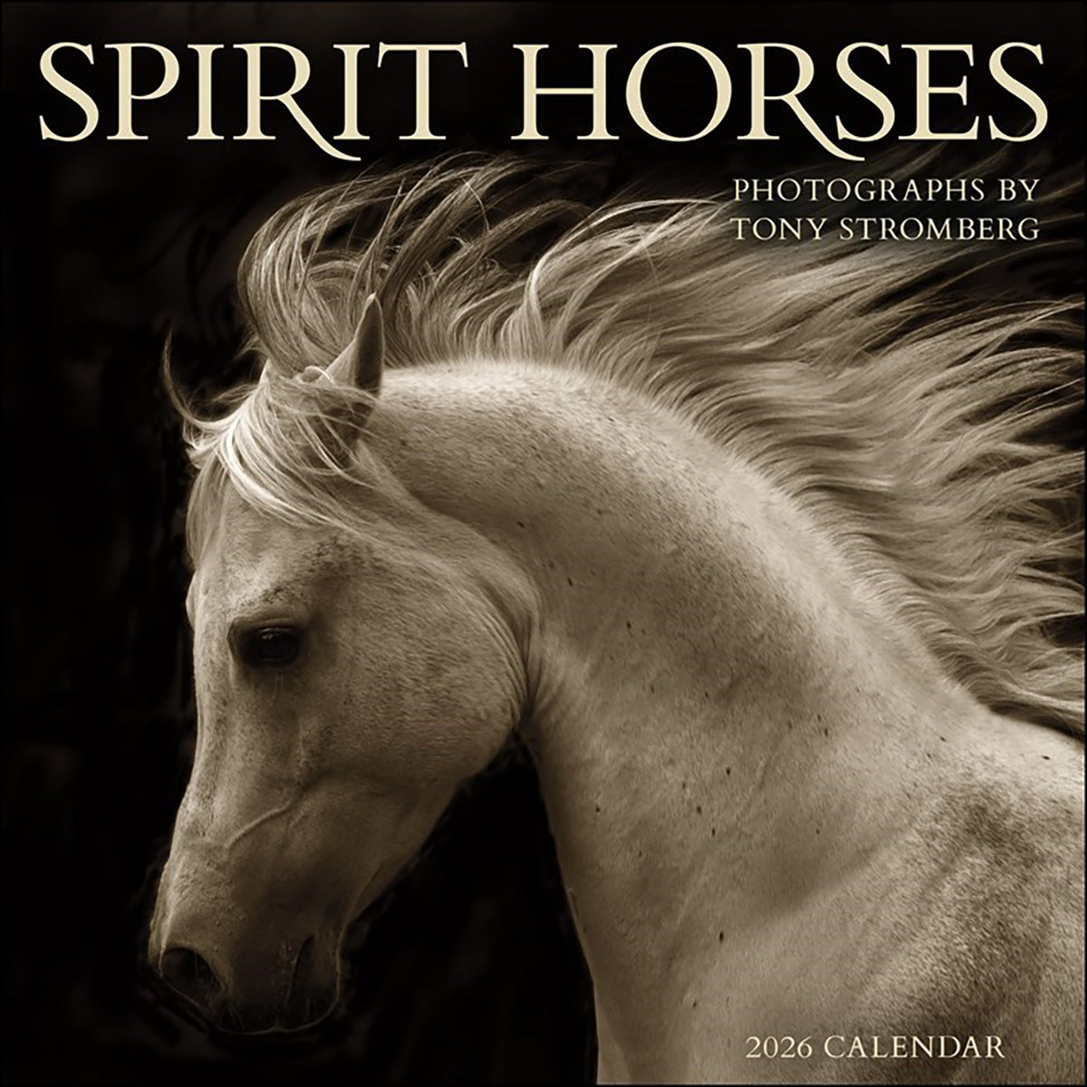 Spirit Horses 2026 Wall Calendar