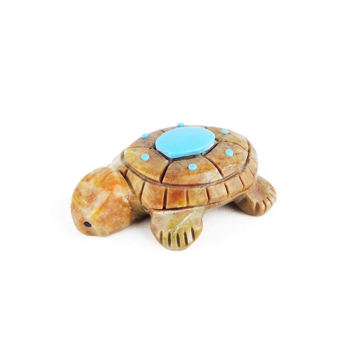 Regnald Lunasee Turtle and Turquoise Fetish