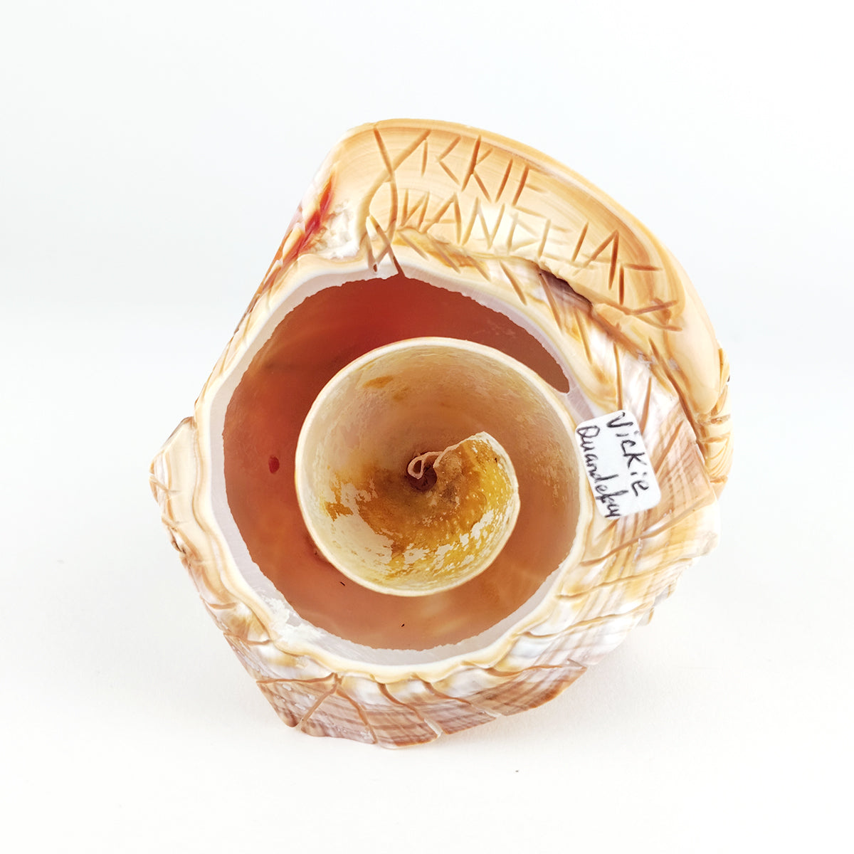 Vickie Quandelacy Double Corn Maiden Fetish