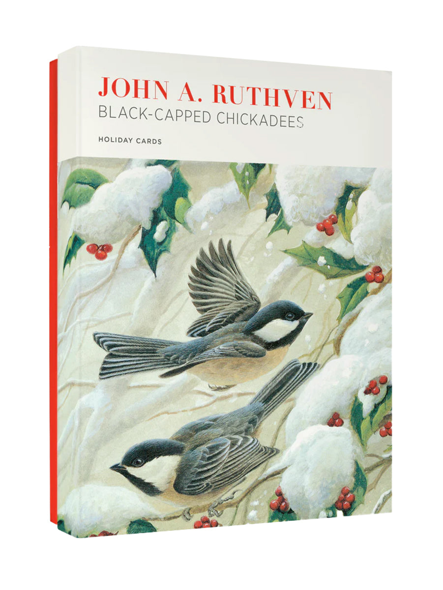 John Ruthven: Black-capped Chickadees Boxed Holiday Cards