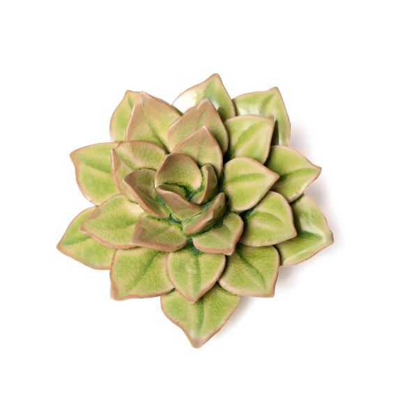 Ceramic Medium Green Succulent