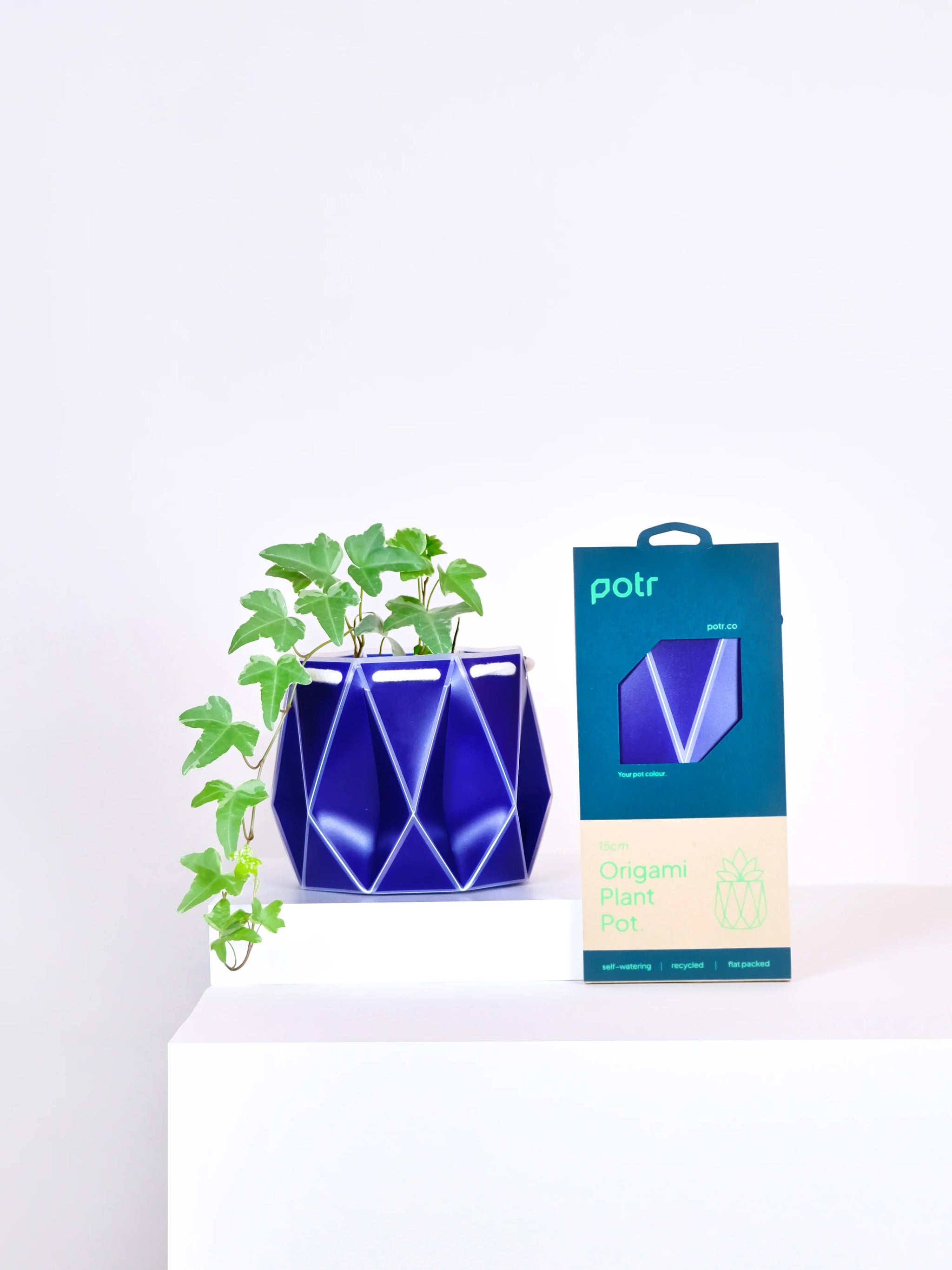 flat pots for plants Medium Self-watering POTR Pot