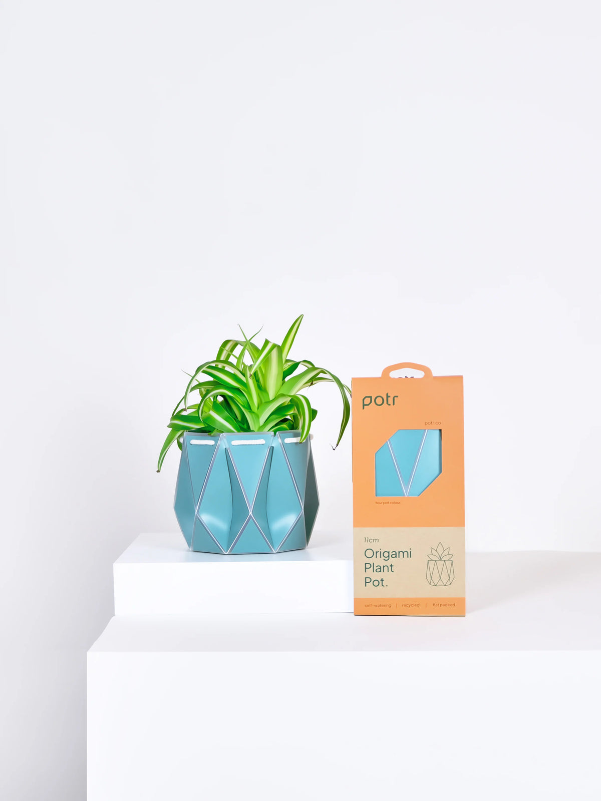 Small Self-watering POTR Pot