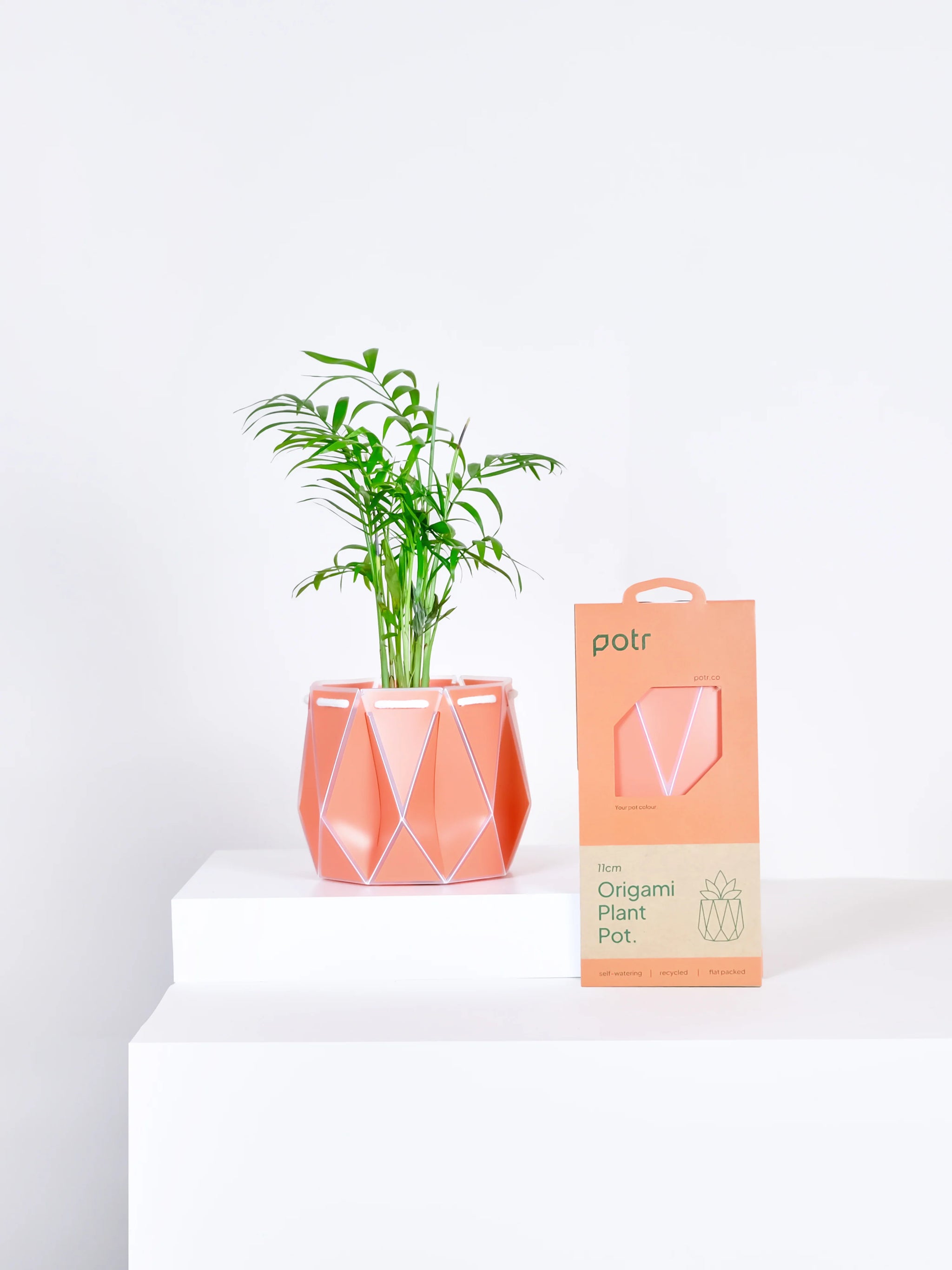 self watering recycled plant pot Small Self-watering POTR Pot