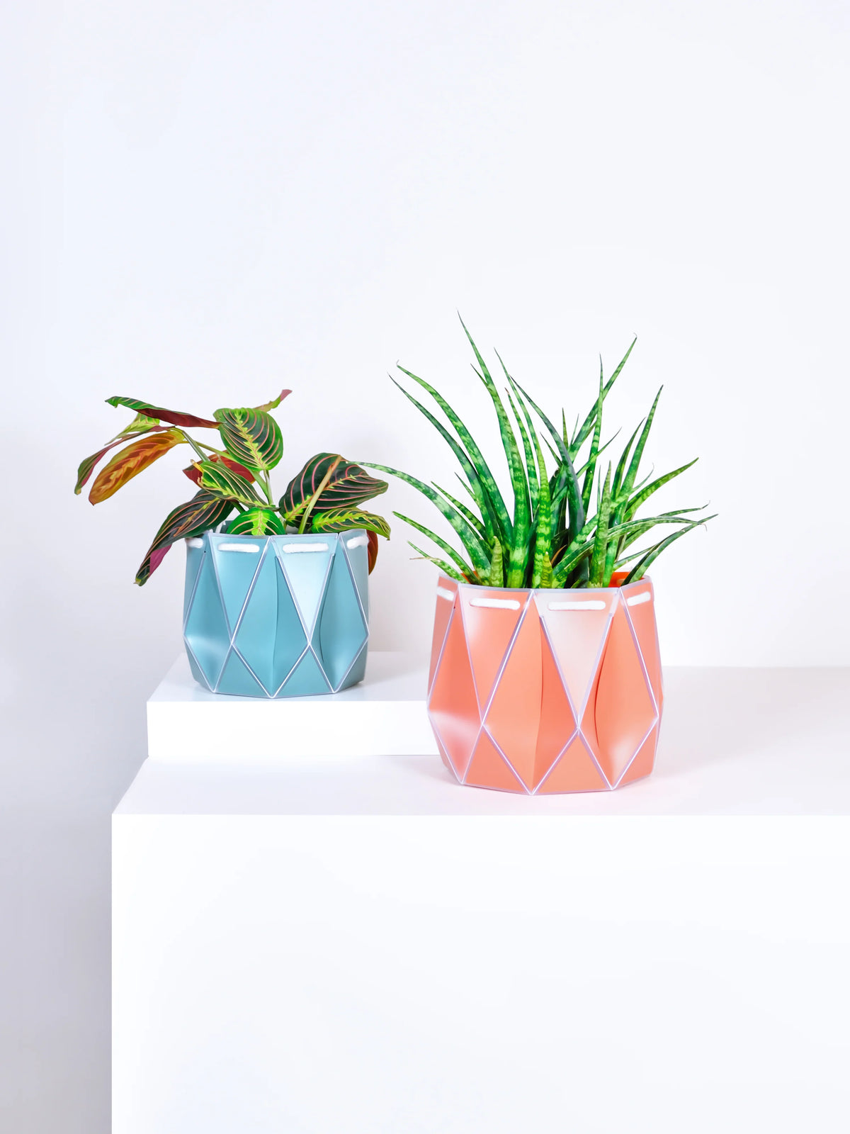 Small Self-watering POTR Pot