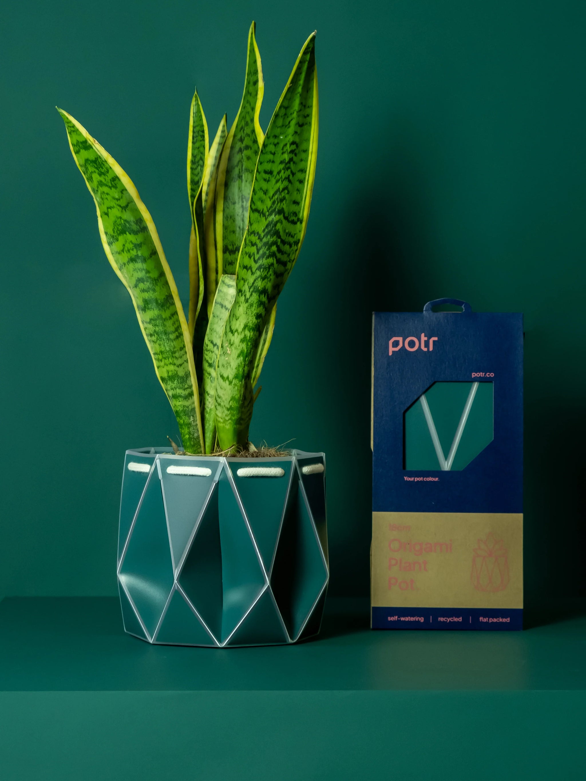 flat pot for plants Medium Self-watering POTR Pot