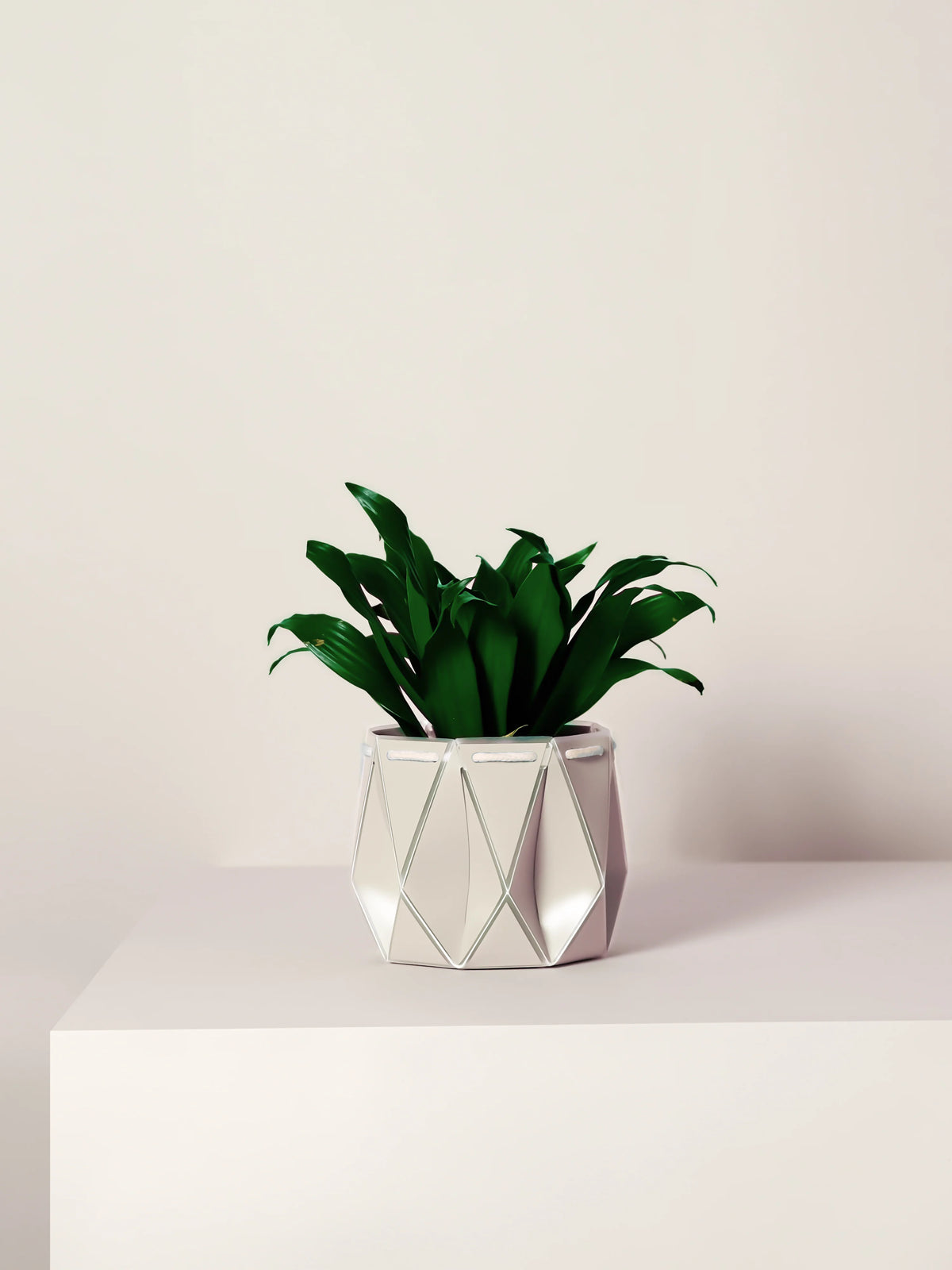 Small Self-watering POTR Pot