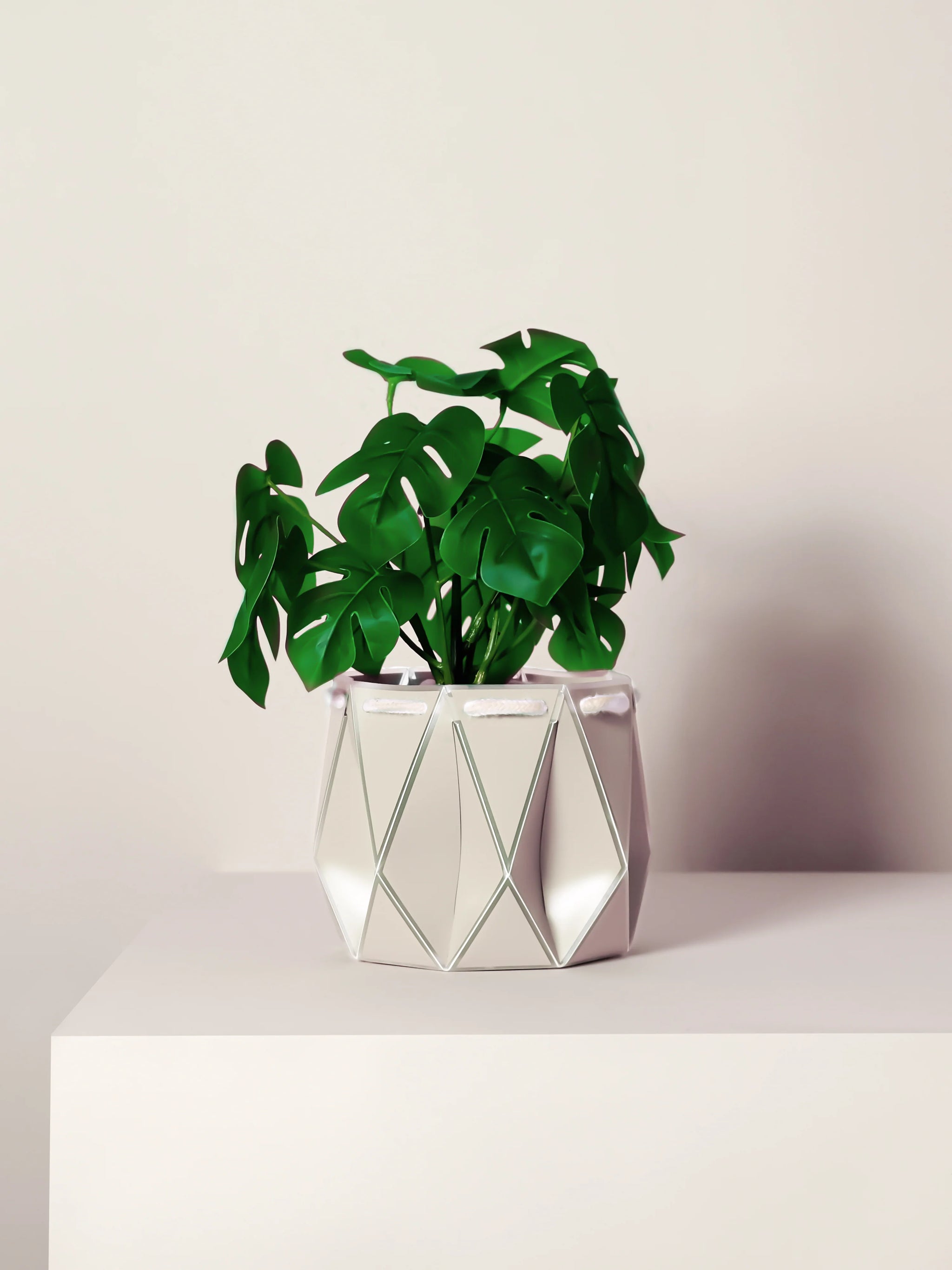 medium pot plant Medium Self-watering POTR Pot