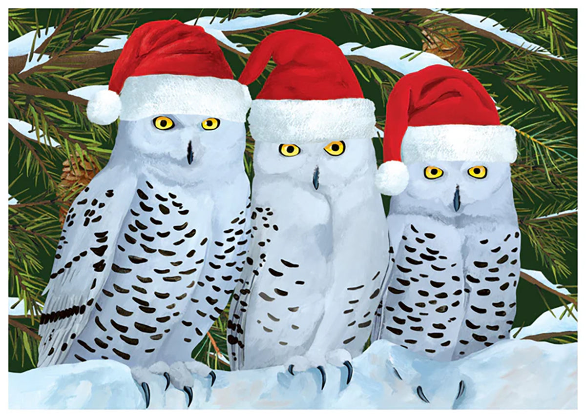 Three Owls Boxed Holiday Cards