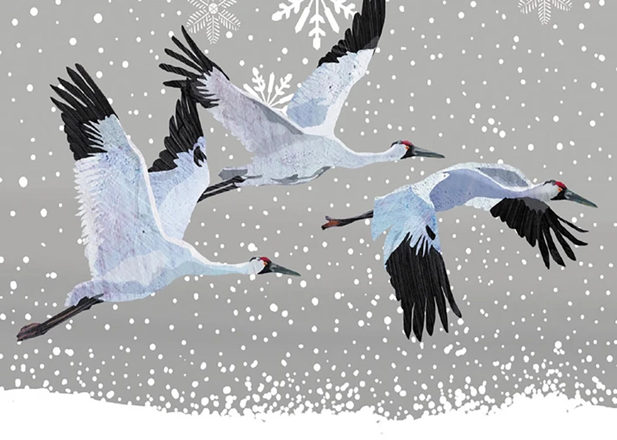 Winter Cranes Holiday Cards