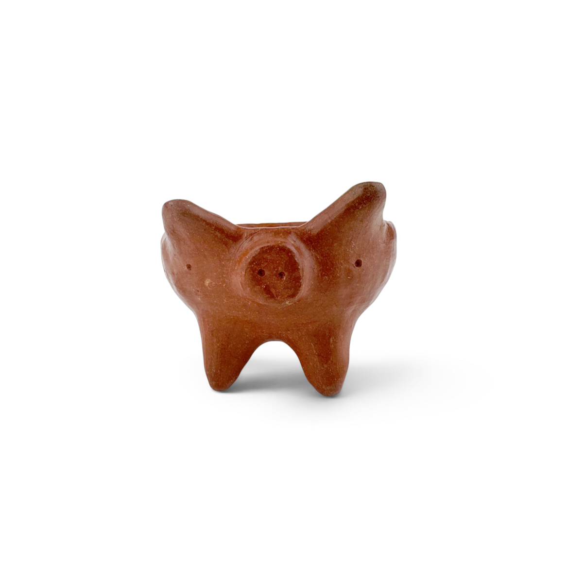 Cochinito Salsa Bowl