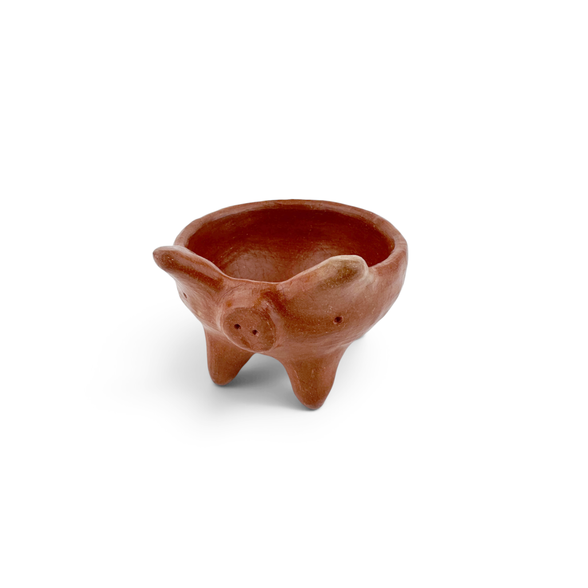 Cochinito Salsa Bowl