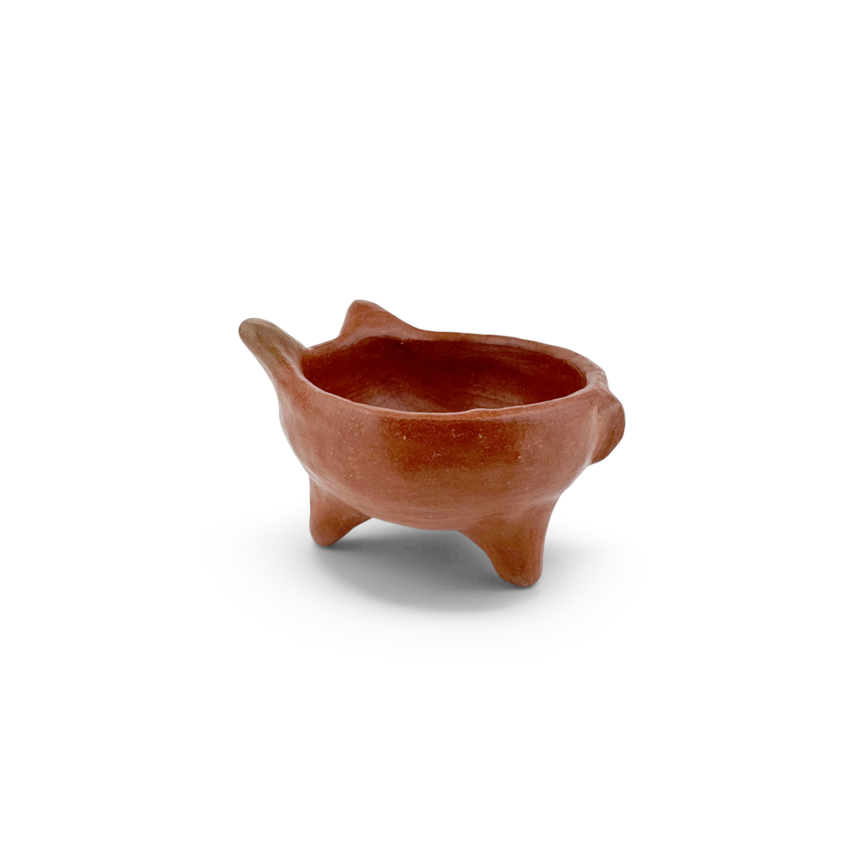 Cochinito Salsa Bowl