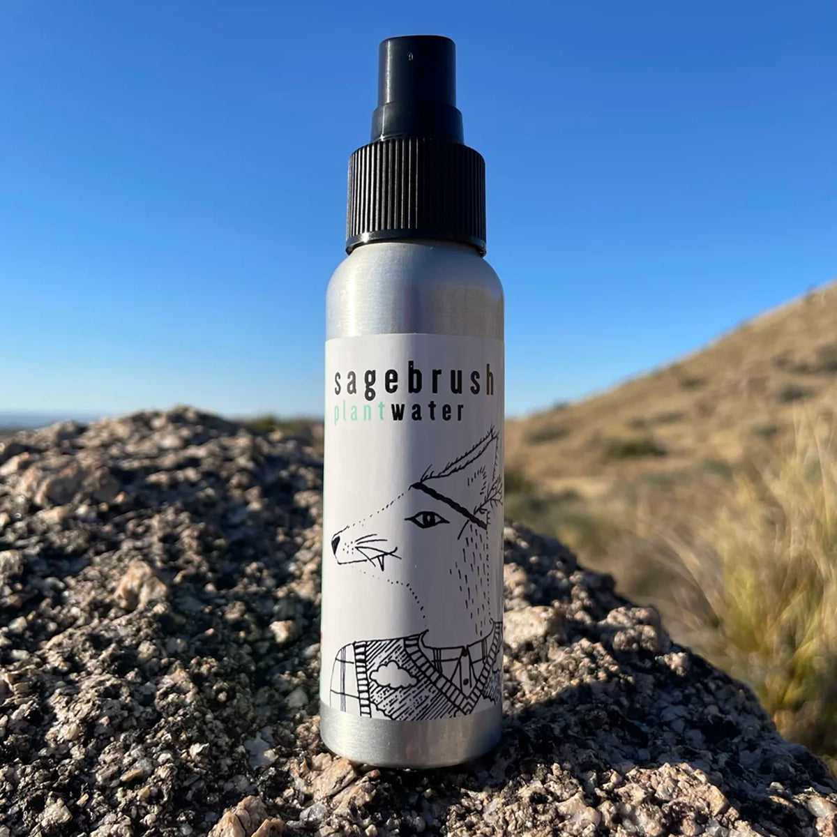 Sagebrush Plantwater