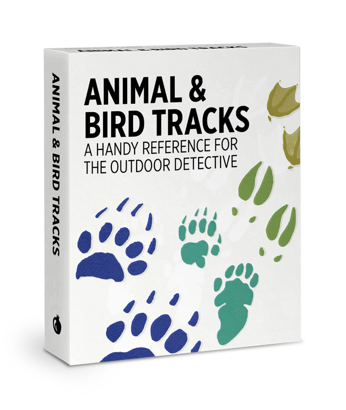 Animal &amp; Bird Tracks Knowledge Cards