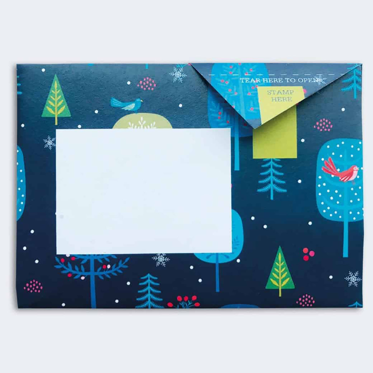 Magical Menagerie Pigeon Letter Pack