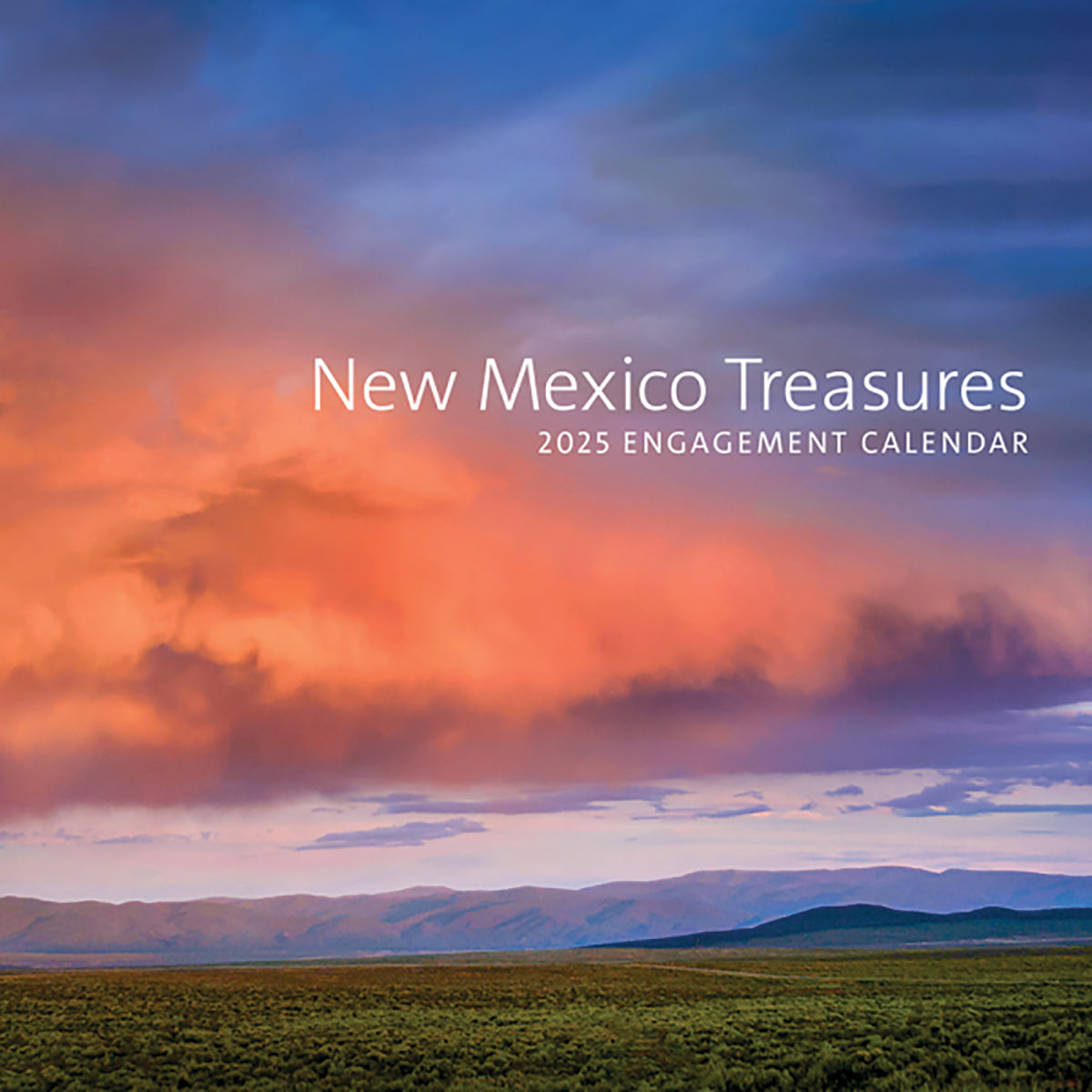 2025 New Mexico Treasures Engagement Calendar