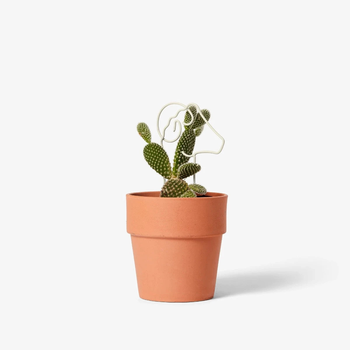 Mini Plant Trellis, Ram