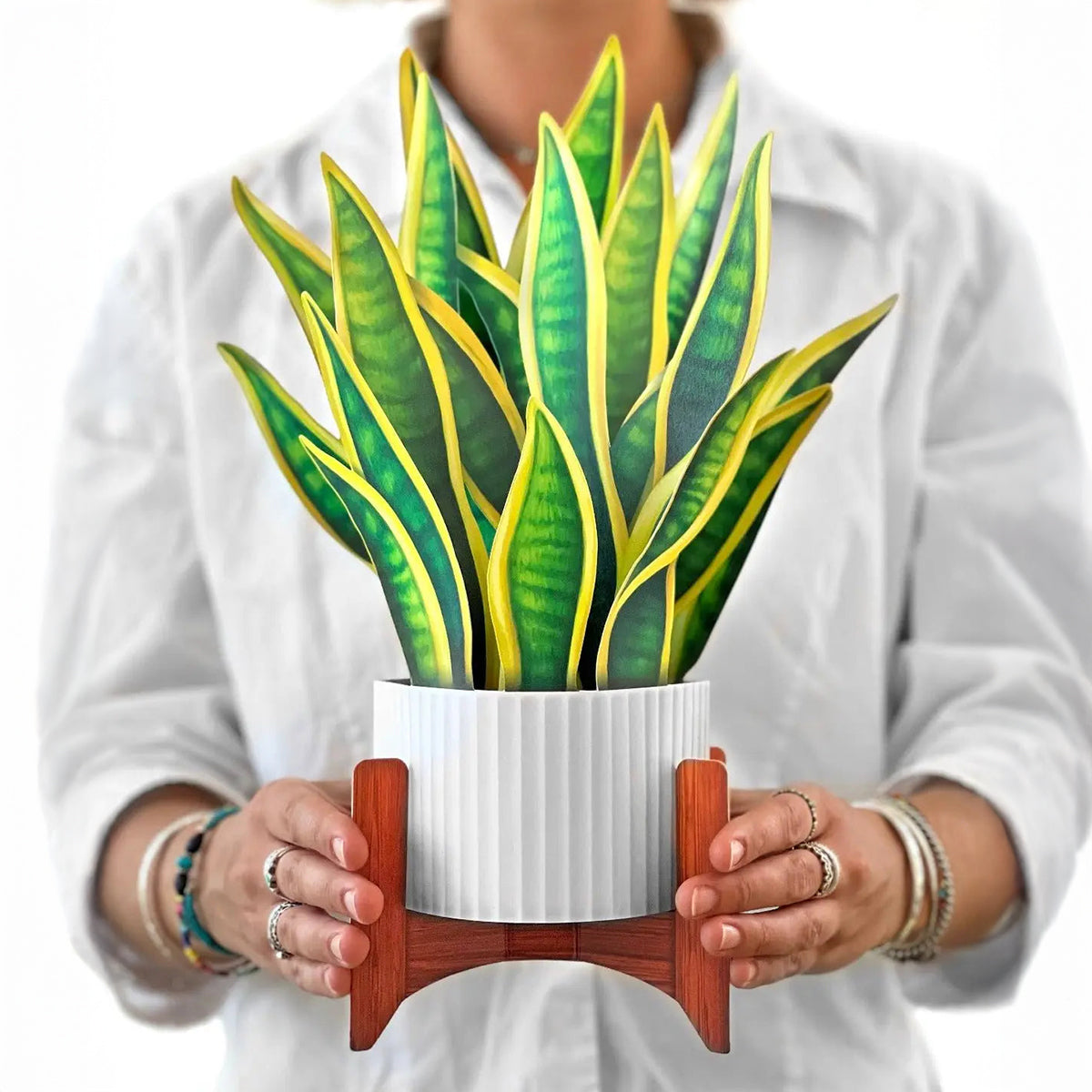 Snake Plant Pop-up Card