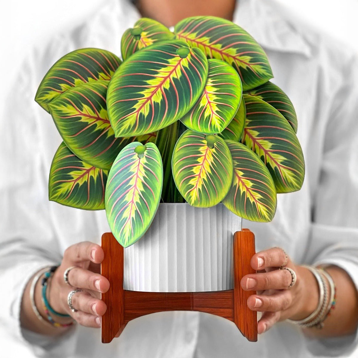 Prayer Plant Pop-up Card