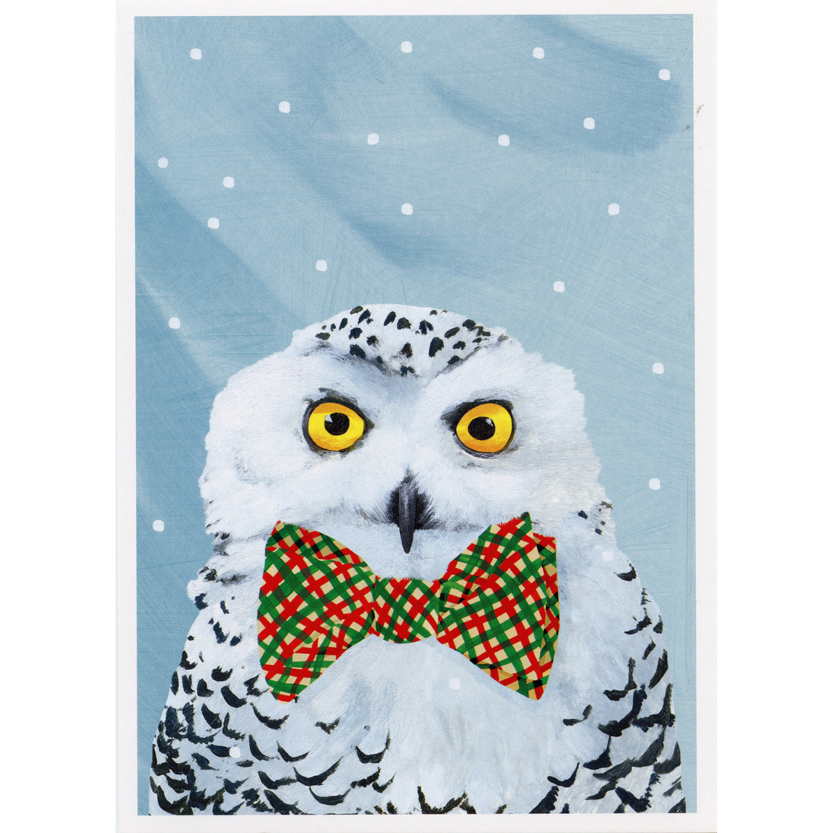 Snowy Owl Boxes Cards