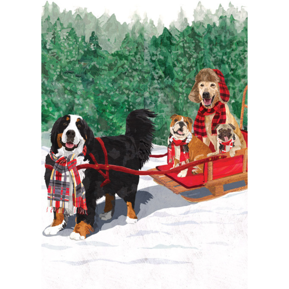 Dogs Sleigh Holiday Boxed Cards