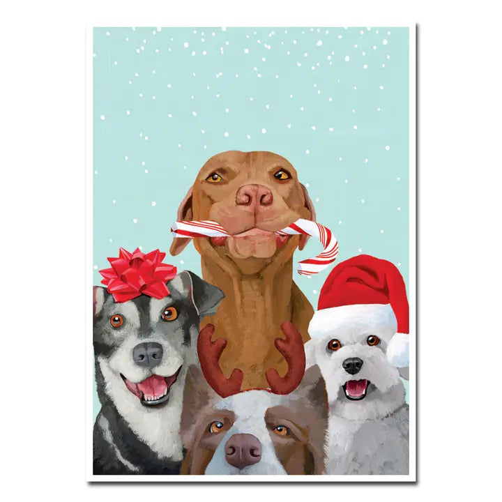 Dog Pals Holiday Boxed Cards