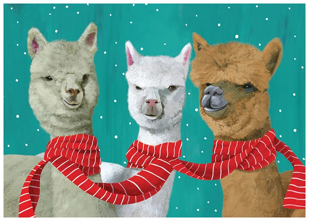 Camelidae in Cravat Holiday Cards