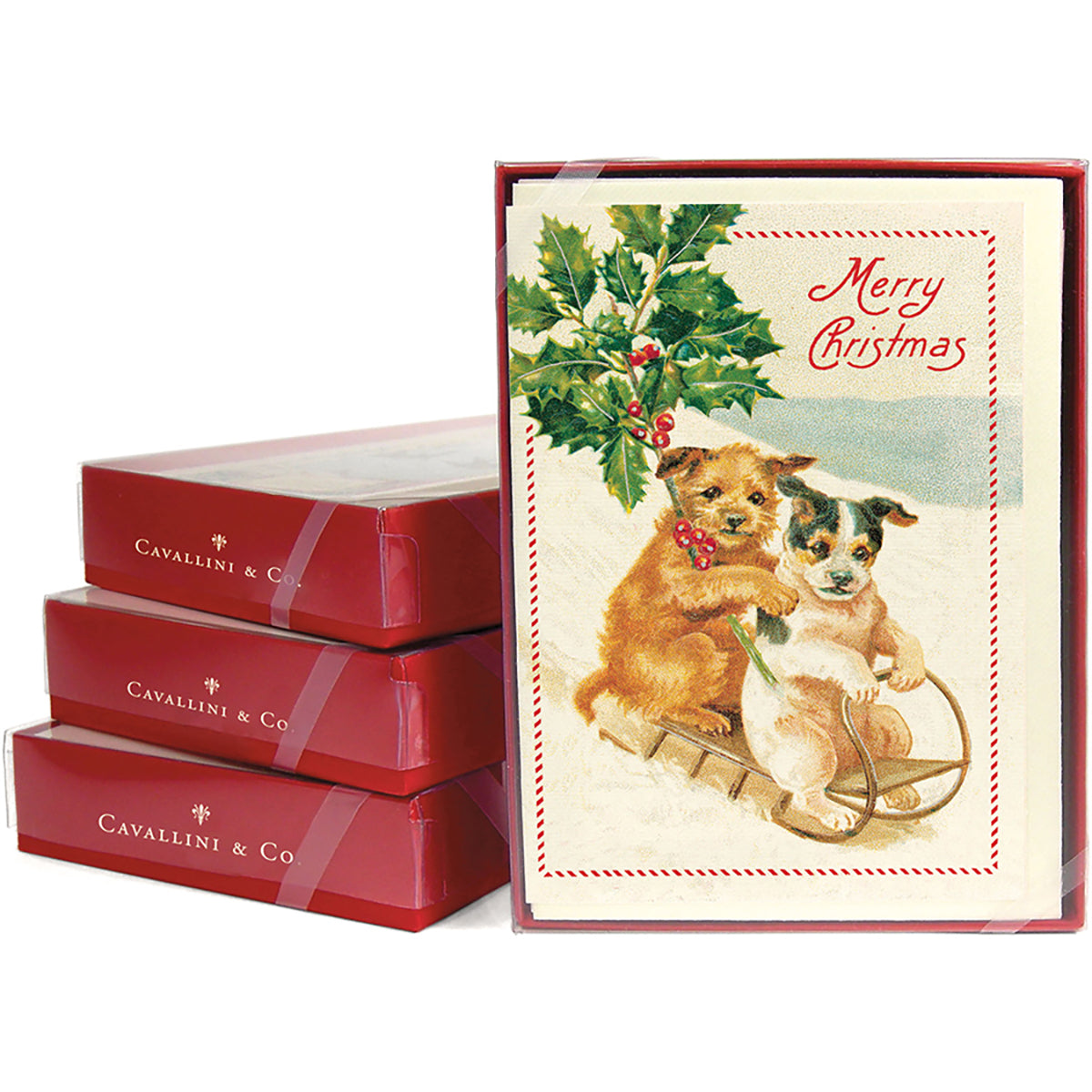 Christmas Dogs Boxed Notecards