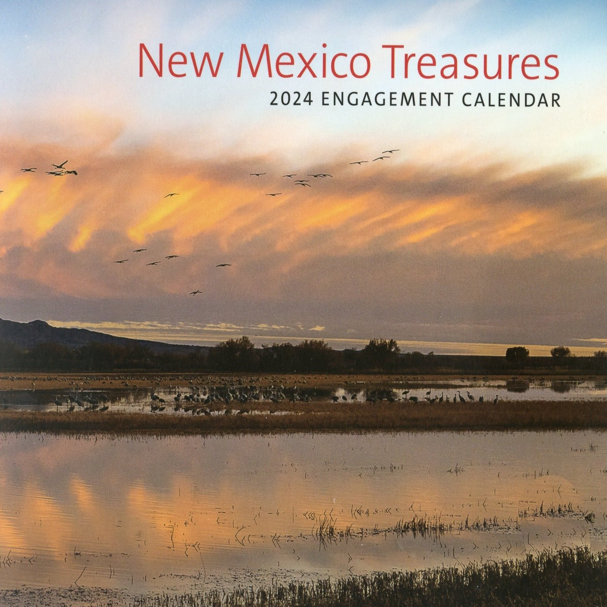 2024 New Mexico Treasures Engagement Calendar