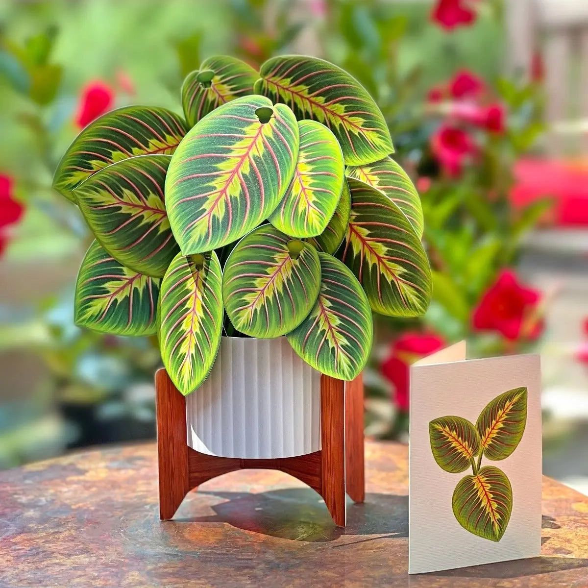 Prayer Plant Pop-up Card